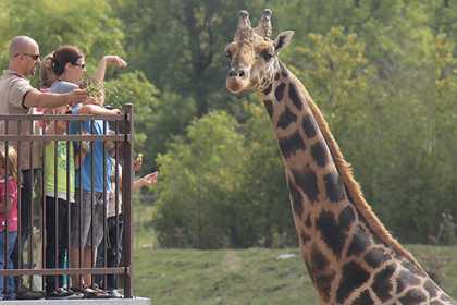parc safari zoo